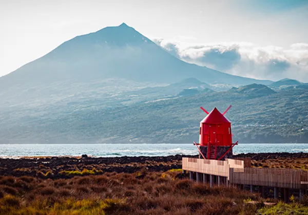 Car Rental Pico Island