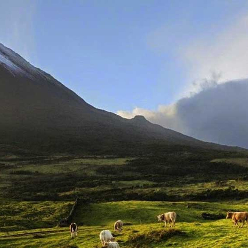 Rent a Car Pico Island Azores Free Cancelation, Best Offers, Low