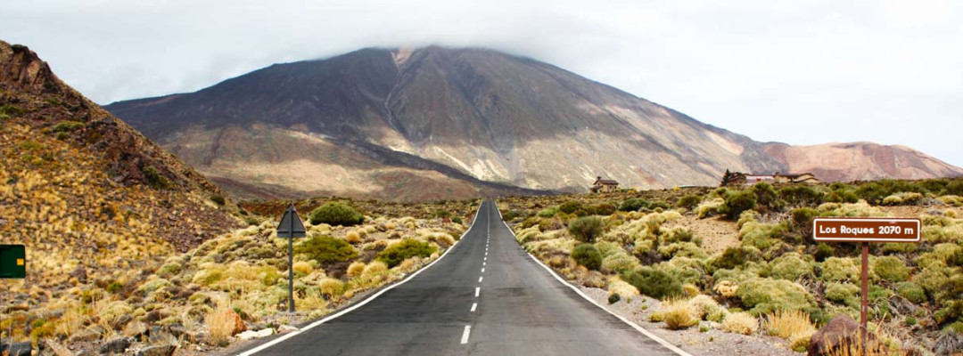 Tenerife - Airport South